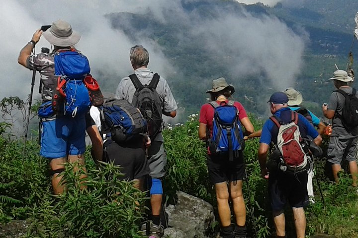 trekking in the tea plantation